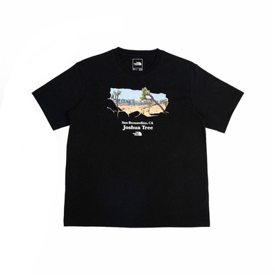Футболка The North Face ORIGINAL