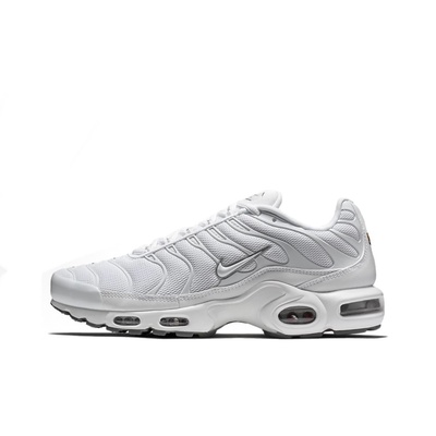 Кроссовки Nike air max plus