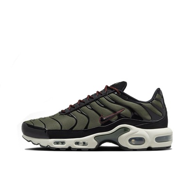 Кроссовки Nike air max plus
