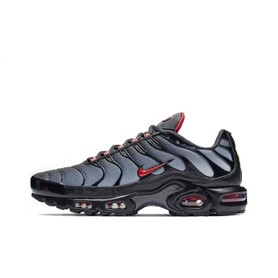 Кроссовки Nike air max plus